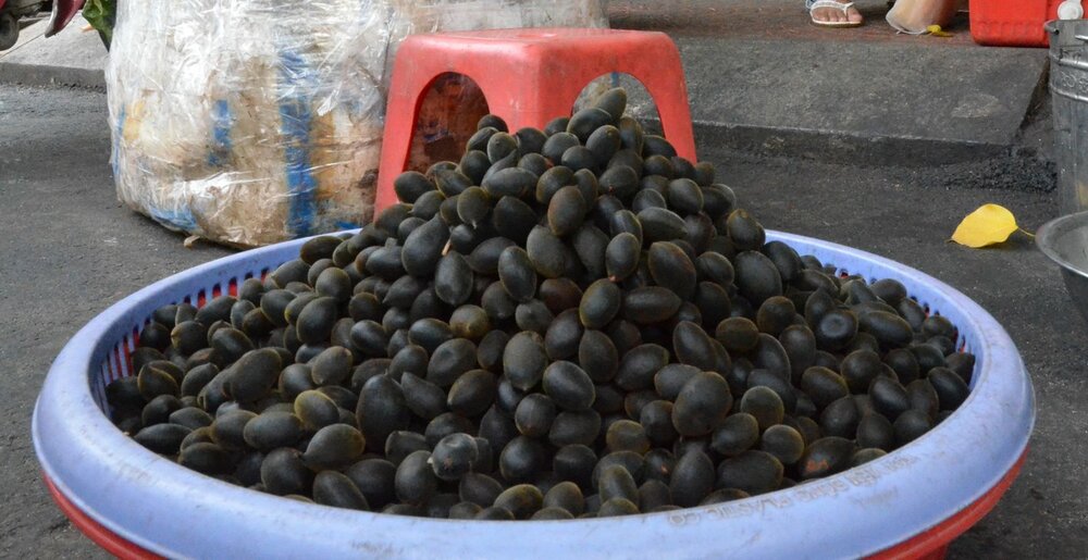 Fluweeltamarinde (Dialium cochinchinense)