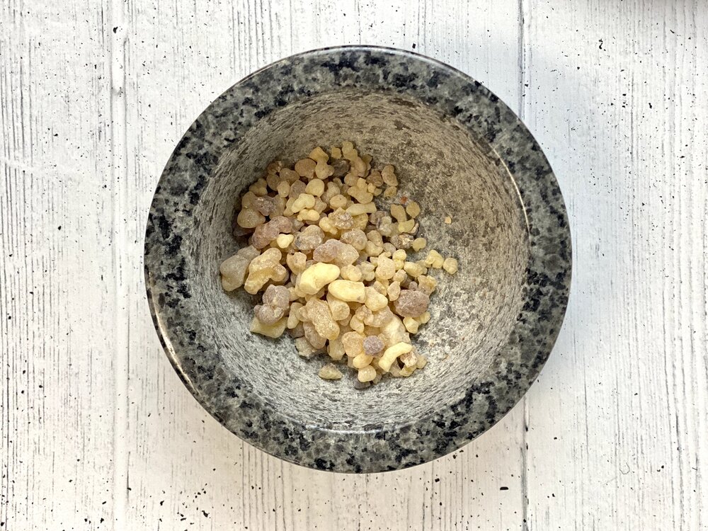 Indiase wierookboom (Boswellia serrata) 