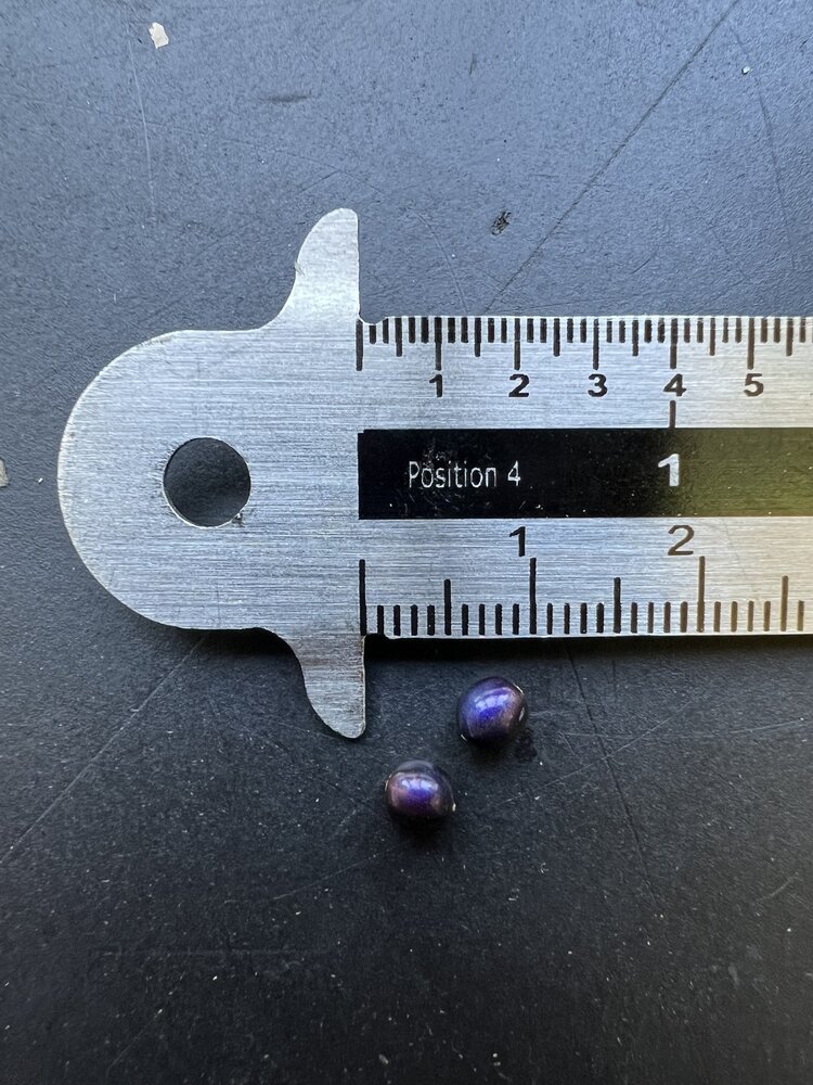 Marmerbes (Pollia condensata)