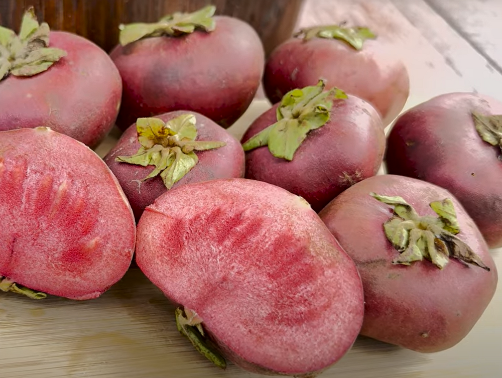 Rode sapote (Timonius minahassae)