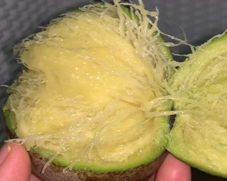 Zure mango (Mangifera rufocoscata)