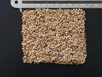 Mat&eacute; (Ilex paraguariensis)