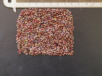 Telegraafplant (Desmodium gyrans)