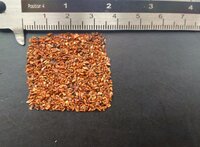 Alpine ash (Eucalyptus delegatensis)