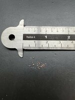 Heen Bovitiya (Osbeckia octandra)