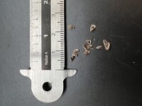 Koraal-alo&euml; (Aloe striata)