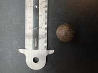 Quindio waspalm (Ceroxylon quindiuense)