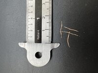 Raffles bekerplant (Nepenthes rafflesiana)