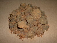 Mirre (Commiphora myrrha)