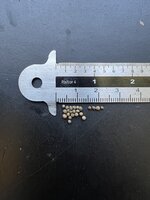 Koreaanse perilla (Perilla frutescens)