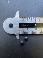 Marmerbes (Pollia condensata)