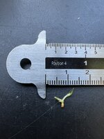 Anthurium (Anthurium bakeri)