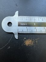 Norfolk boomvaren (Cyathea brownii)