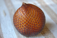Salak (Salacca zalacca)