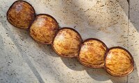 Zeehart (Entada gigas)