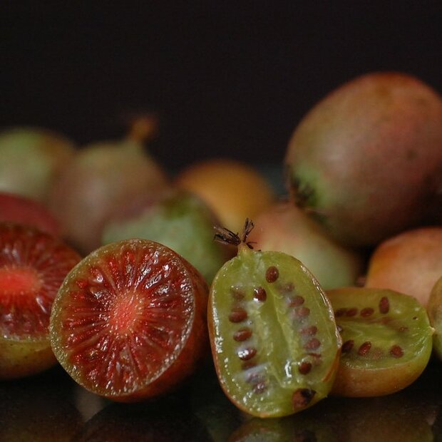 Rode kiwi (Actinidia purpurea)