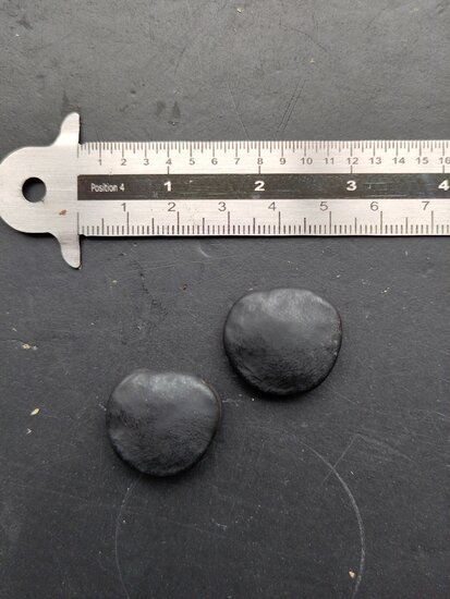 Netvormige fluweelboon (Mucuna reticulata)